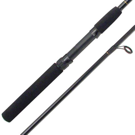 Fishing spinning rod single foot ceramic guides - CG Emery