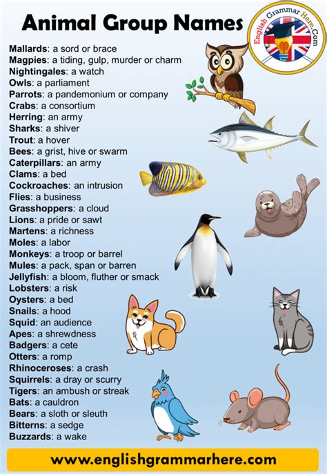 Names for Groups of Animals, Definition and 90 Animals Names Group List ...