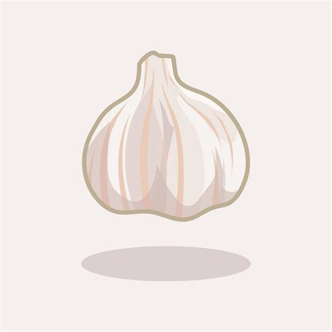 Fresh garlic hand drawn cartoon illustration 15371406 Vector Art at ...