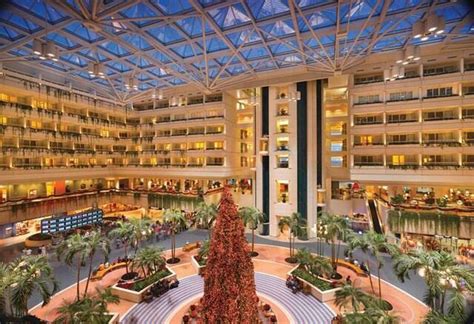 The Best Hotels Near Orlando International Airport | Orlando international airport, Orlando ...