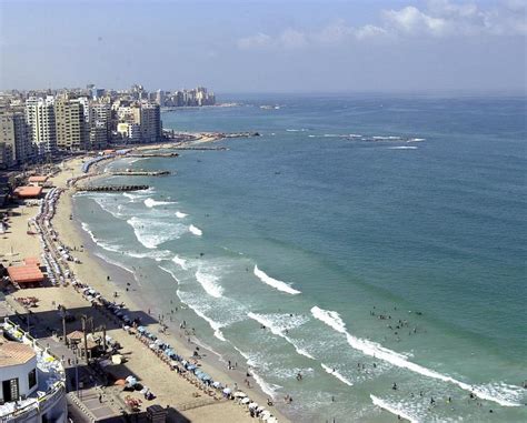 Alexandria Portal