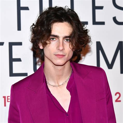 Is Timothee Chalamet English - Image to u