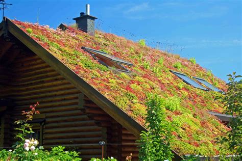 How Much Does a Green Roof Cost in 2024? | Checkatrade