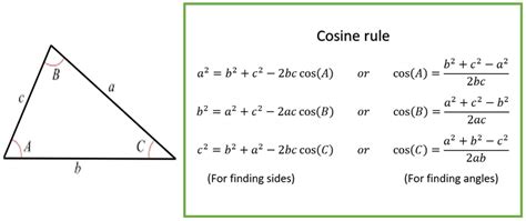 Sine and cosine rule | Shalom Education