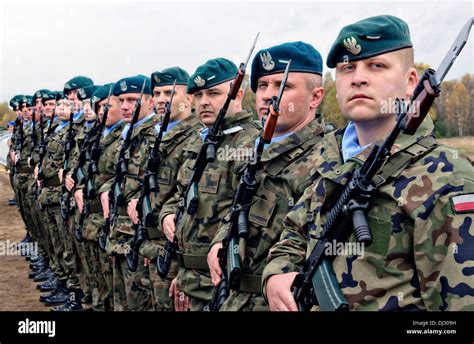 A Polish army honor guard stands in formation during a ceremony October ...