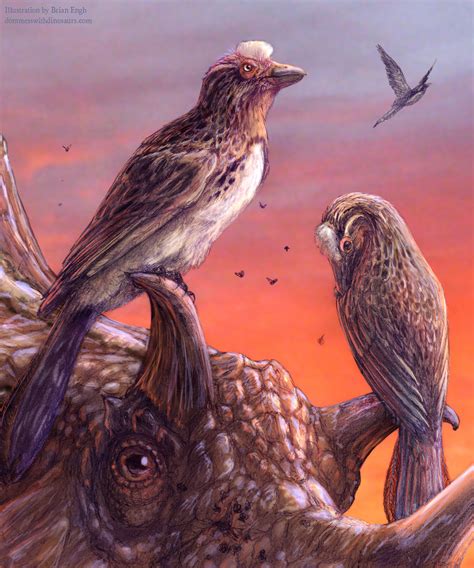 Rare fossil bird deepens mystery of avian extinctions