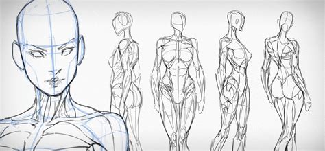 Discover 64+ anime muscular body drawing - in.duhocakina