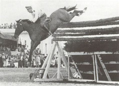 Huaso (registered name Faithful) 1933, 16.1hh,... - The Thoroughbred Universe