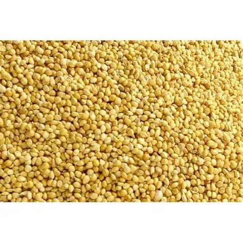 Yellow Millet, High in Protein, Packaging Size: 25kg at Rs 32/kilogram in Vijayapura