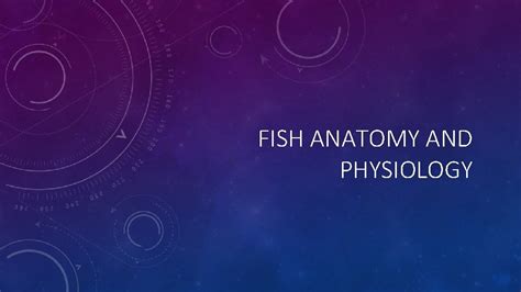 FISH ANATOMY AND PHYSIOLOGY ANATOMY Most fish all