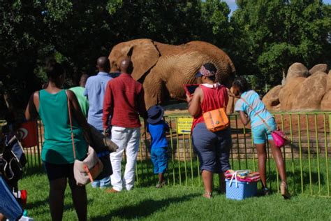 National Zoological Garden, Pretoria – SANBI