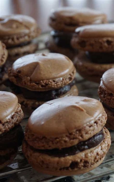 French Chocolate Macarons Recipe - Flavorite