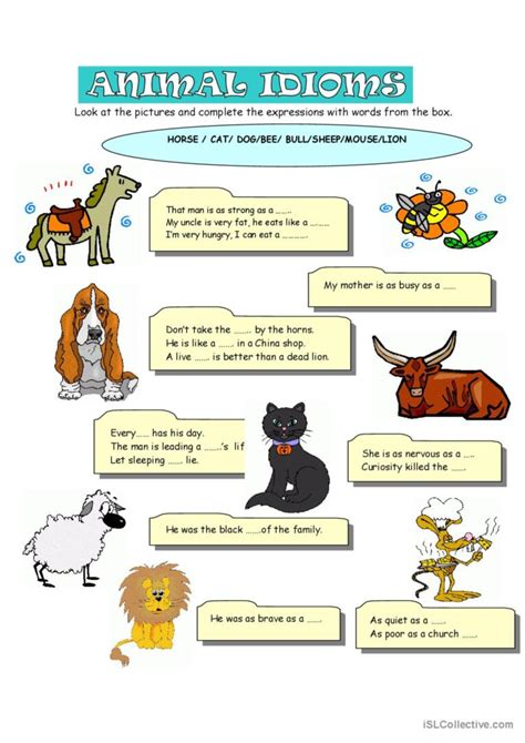 ANIMAL IDIOMS: English ESL worksheets pdf & doc