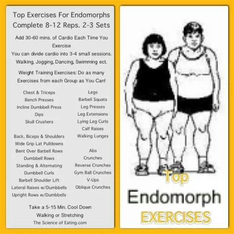 Pin by Tiffany Goodin on W O D | Body type workout, Endomorph body type ...