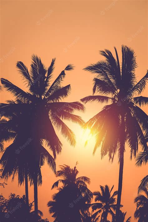 Premium Photo | Silhouette coconut tree on sunset background