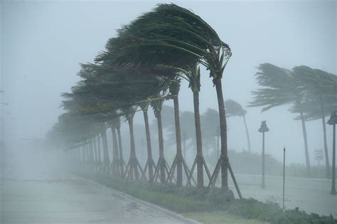 Paramount Fencing's Comprehensive Guide to Hurricanes - Paramount Fencing