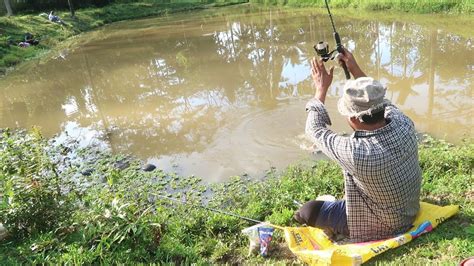 MANCING IKAN NILA DENGAN BERAT 1 KILO SE HARGA 1 JUTA - YouTube