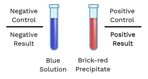 Positive and Negative Controls - Labster