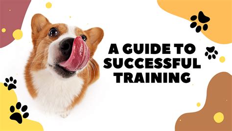 Unleashing the Potential — A Comprehensive Guide on Pet Training | by ...