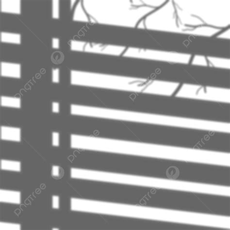 Branch Shadow PNG Picture, Beautiful Window Shadow With Tree Branch, Branch Shadow, Window ...