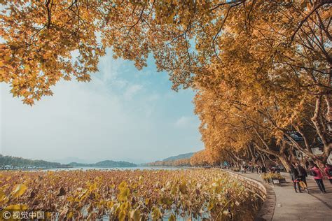 Autumn scenery of West Lake in Hangzhou - China.org.cn