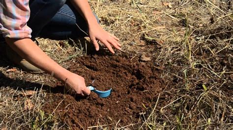 How to Collect a Soil Sample for Lab Analysis - YouTube