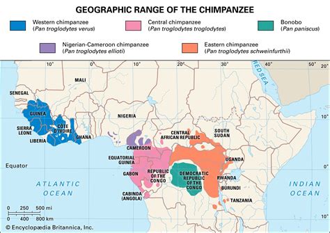 Chimpanzees Habitat