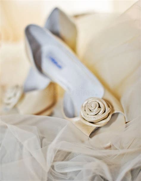 White High Heels Pump Shoes Stock Photo - Image of lovely, closeup: 25111642