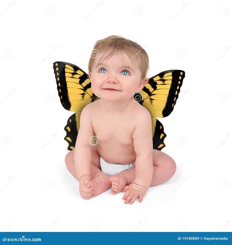 Little Cute Baby Butterfly on White Background Stock Image - Image of diaper, beautiful: 19100809