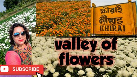 Khirai Valley Of Flowers | Flower Destination KHIRAI | - YouTube