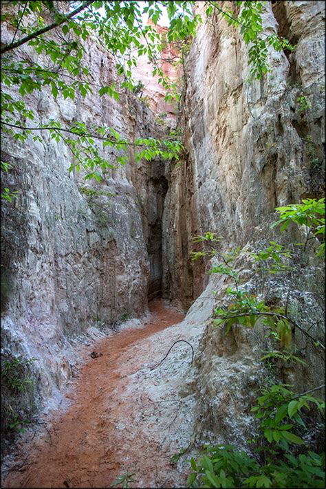 Providence Canyon State Park