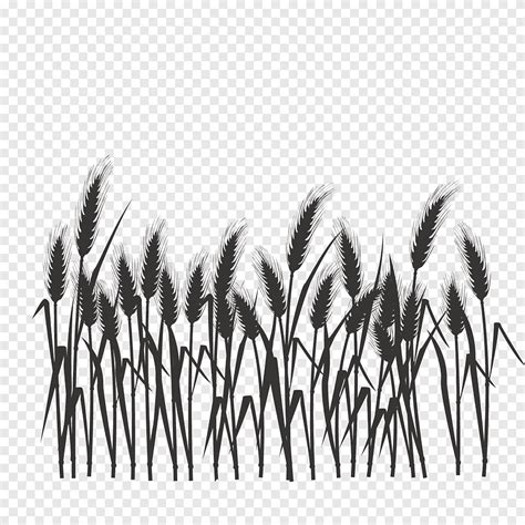 Black grass illustration, Silhouette Black and white, Silhouette of ...