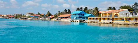 Divi Flamingo Beach Resort & Casino | Maduro Dive | Exclusive Scuba Diving Packages