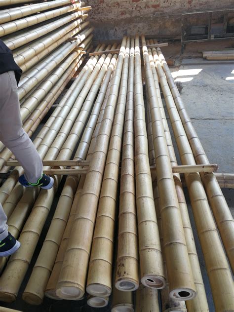 Beautiful Natural Moso Bamboo Poles/Stick/Canes - China Bamboo Pole and ...