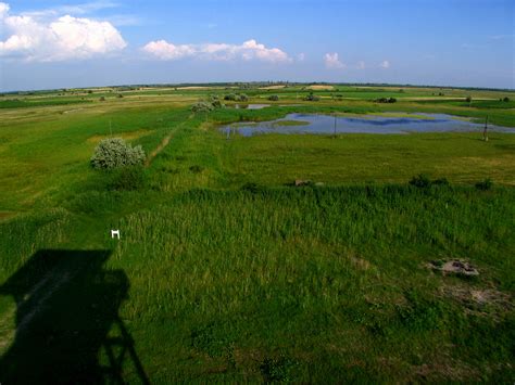 In 2001 the Neusiedler See-Seewinkel National Park area w… | Flickr