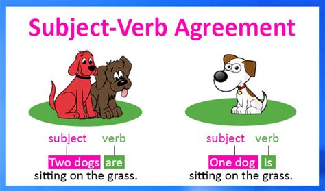 Importance of learning Agreement of Verb with Subject | Rules - Wabs Talk