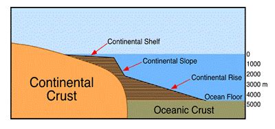 Explain ‘continental shelf’ and ‘continental slope’ with the help of a ...