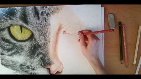 Colored Pencil Drawing: Half Cat half Human - Speed Draw | JosYMovieS ...