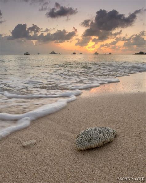 Grand Cayman Beach Coral at Sunset Photograph by Adam Romanowicz