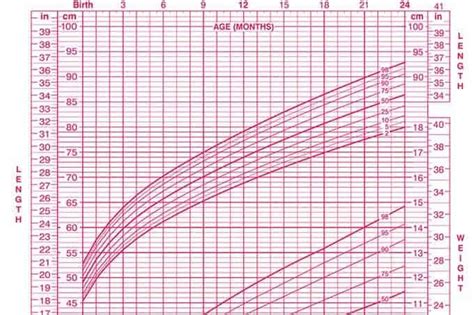 Growth Chart Percentiles: What They Mean, What They Don't (ep 40)