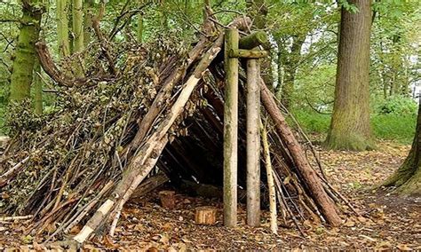 Advanced Survival Skills: Building Awesome Shelters! | Small Online Class for Ages 8-13 | Outschool