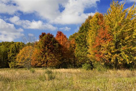 Michigan Fall Colors | Fall Colors - Oakwood Metro Park - Fl… | Flickr