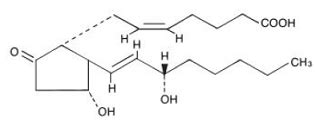 Prostin E2 (Dinoprostone Vaginal Suppository): Side Effects, Uses, Dosage, Interactions, Warnings