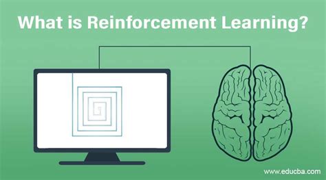 What is Reinforcement Learning? | Function and Various Factors