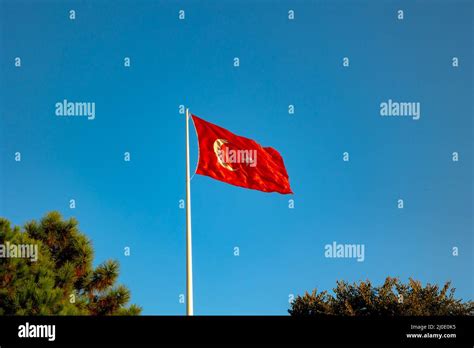 Turkish flag. Turkish flag with trees isolated on blue sky background. April 23 or may 19 or ...