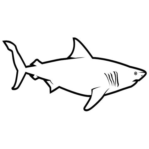 Great white shark Royalty Free Stock Free Vector