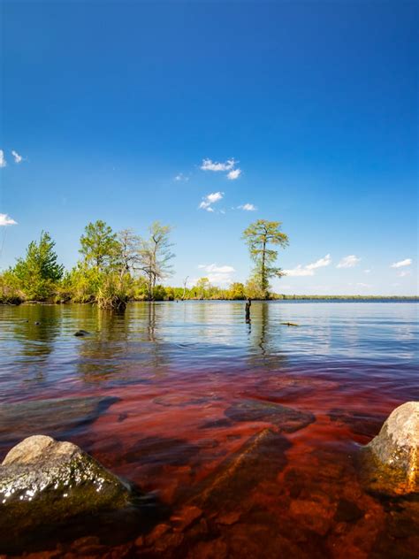 All About Virginia's Great Dismal Swamp • Virginia Travel Tips