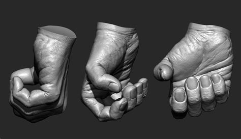 Realistic male hand 3D model free 3D model | CGTrader