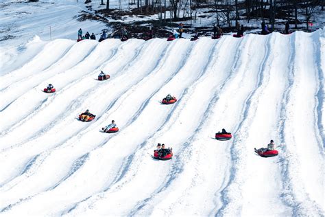 Snowtubing at Canaan Valley Ski Resort - West Virginia Explorer