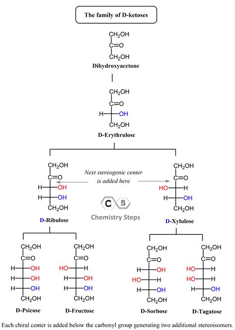 draw the structure of an aldopentose. - aspienick